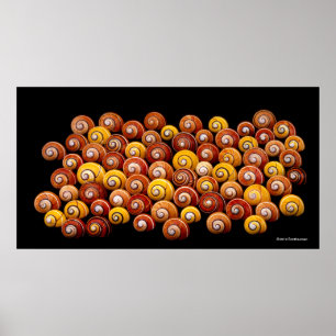 Poster Caracóis cubanos da árvore