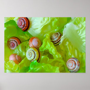 Poster Caracóis em alface