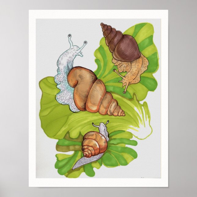 Poster Caracóis Felizes na Arte Folha de Alface (Frente)