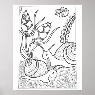Poster Caracóis Gigantes de 16"x 20" com coloração de flo