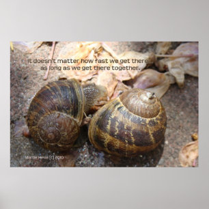 Póster Caracóis no Amor