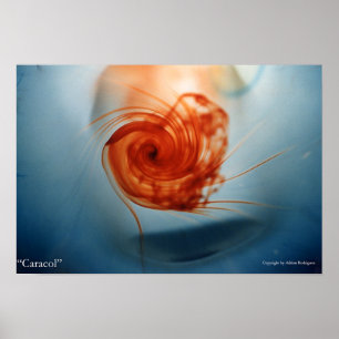 Póster Caracol
