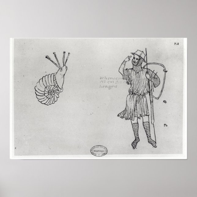 Poster Caracol e soldado húngaro (Frente)