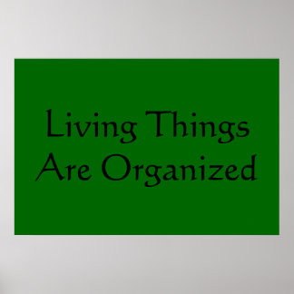 Póster Características de vida