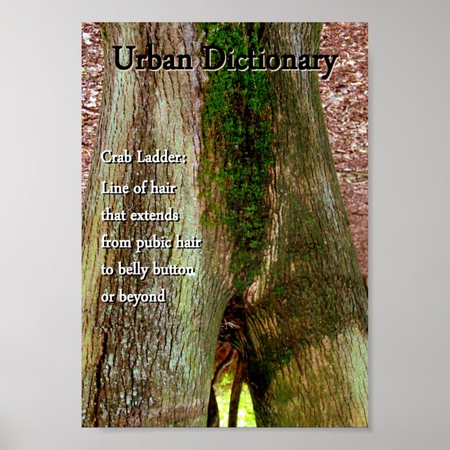 Póster Caranguejo (Frente)