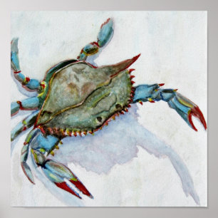 Póster Caranguejo azul