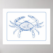 Caranguejo Branco e Azul Costeiro