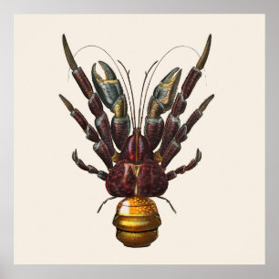 Poster Caranguejo de Coco