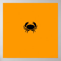 Caranguejo-preto-em-laranja-no-oceano