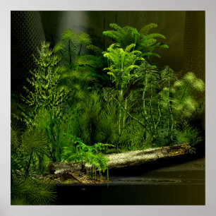 Póster carbo deep forest 2