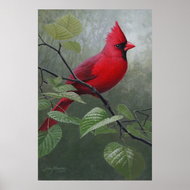 Póster Cardinal (Frente)