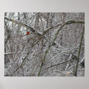 Poster Cardinal