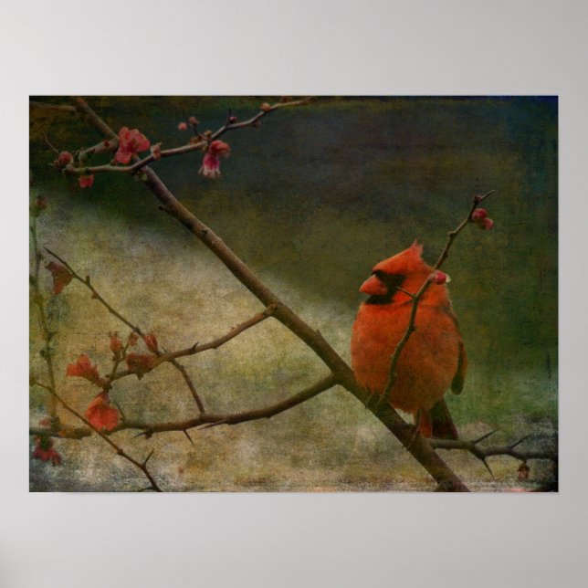 Poster Cardinal (Frente)