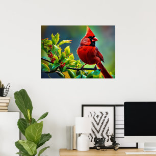 Poster Cardinal do norte