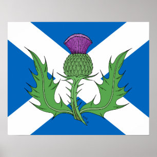 Póster Cardo Escocês e Saltire
