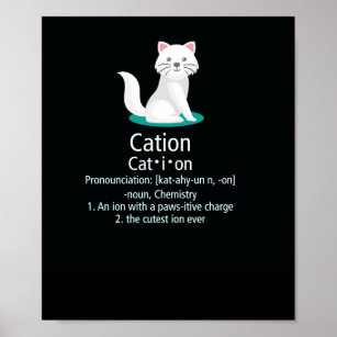 Poster carga pejorativa de íon de gato