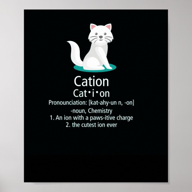 Poster carga pejorativa de íon de gato (Frente)