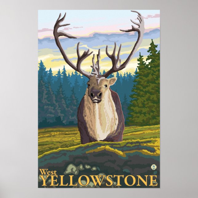 Póster Caribe em Selvagem - West Yellowstone, MT (Frente)