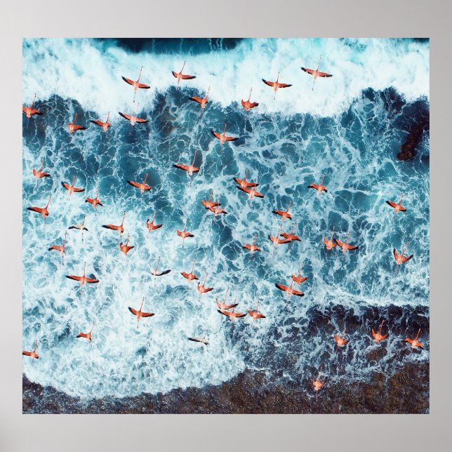 Poster Caribe Flamingos: Cena de Voo da Natureza (Frente)