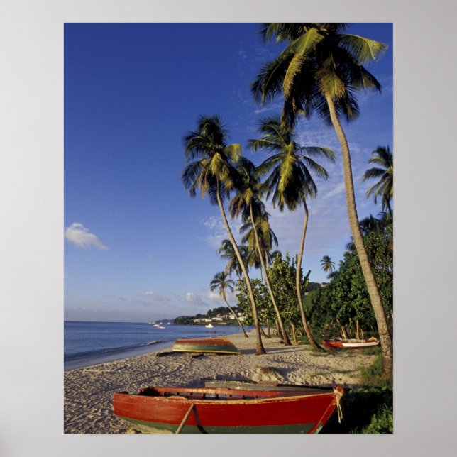 Póster CARIBE, Granada, St. George, Barcos em palmeira (Frente)