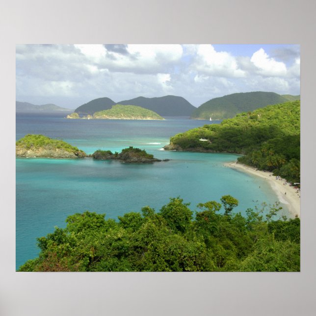 Póster Caribe, Ilhas Virgens Americanas, St. John, Tronco (Frente)