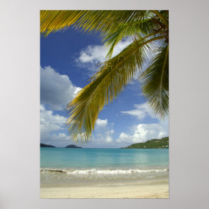 Póster Caribe, Ilhas Virgens Americanas, St.Thomas,