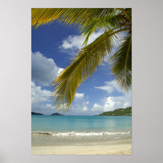 Póster Caribe, Ilhas Virgens Americanas, St.Thomas, (Frente)