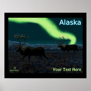 Póster Caribe - Longa Marcha