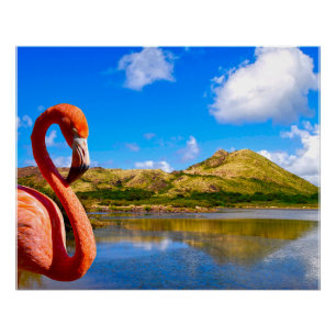 Póster Caribe o flamingo na canvas das Ruas