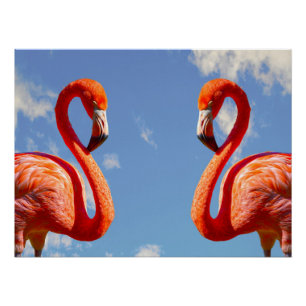 Póster Caribe par flamingo