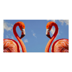 Póster Caribe par flamingo