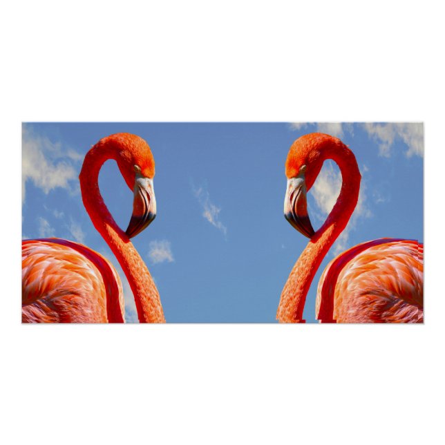 Póster Caribe par flamingo (Frente)