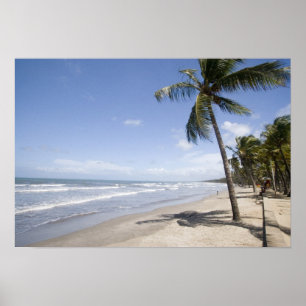 Póster Caribe - Trinidad - Praia Manzanilla em 2