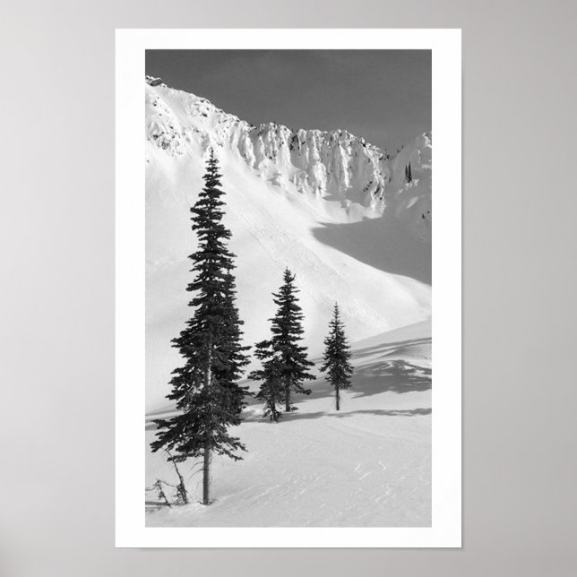 Póster Cariboos: Pequeno Slide (Frente)