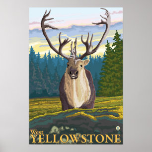 Póster Caribou in the Wild - West Yellowstone, MT