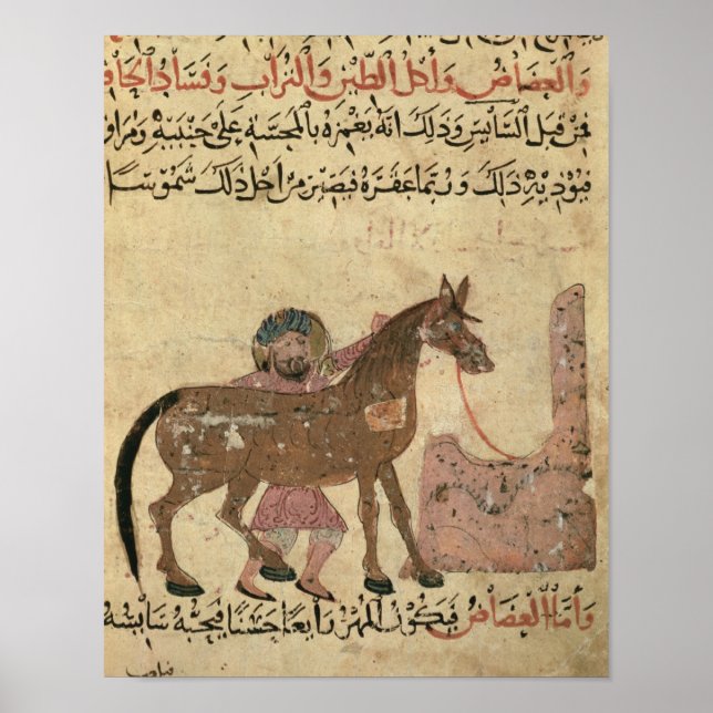 Poster Carinho pelo cavalo, ilustração (Frente)