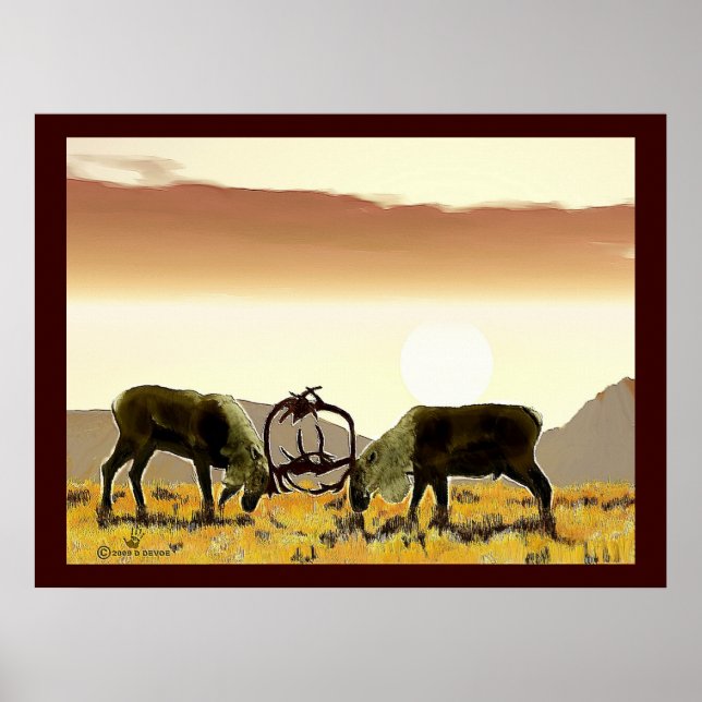 Póster Cariou Duel (Frente)