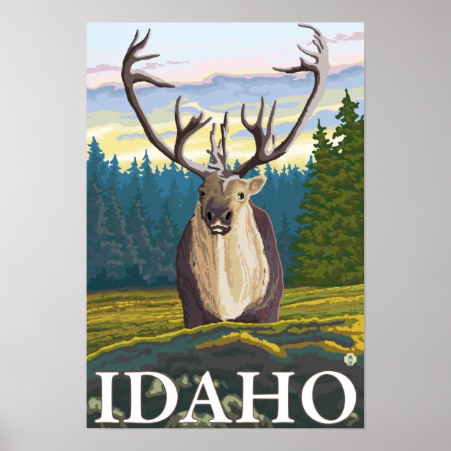 Poster Cariou em Selvagem - Idaho (Frente)