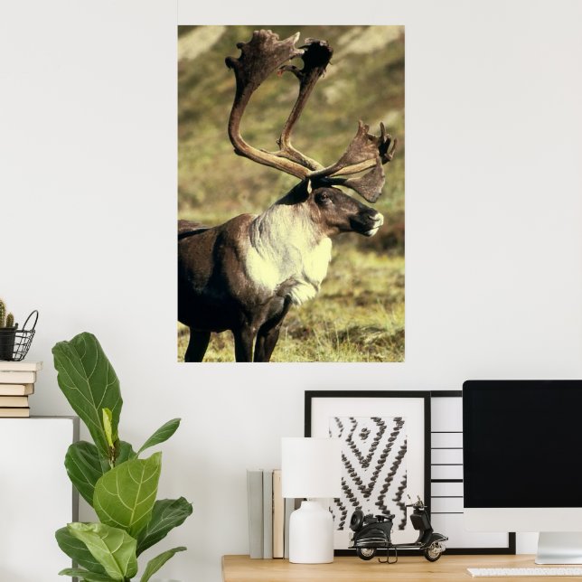 Póster Cariou / Reindeer Wildlife Lover (Escritório em casa)