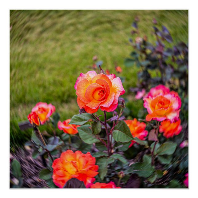 Póster Carnaval Rosa com um Toque (Frente)