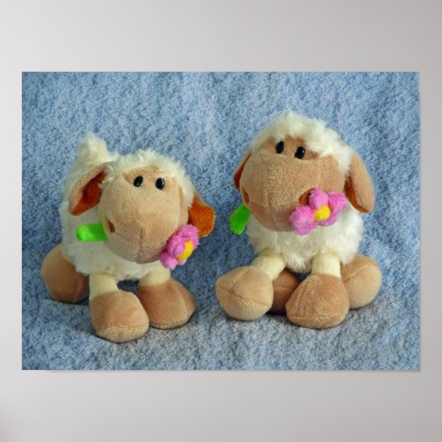 Póster Carneiros (Frente)