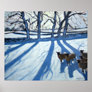 Póster Carneiros na neve Derbyshire