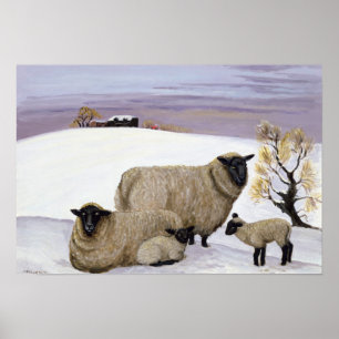 Póster Carneiros no inverno
