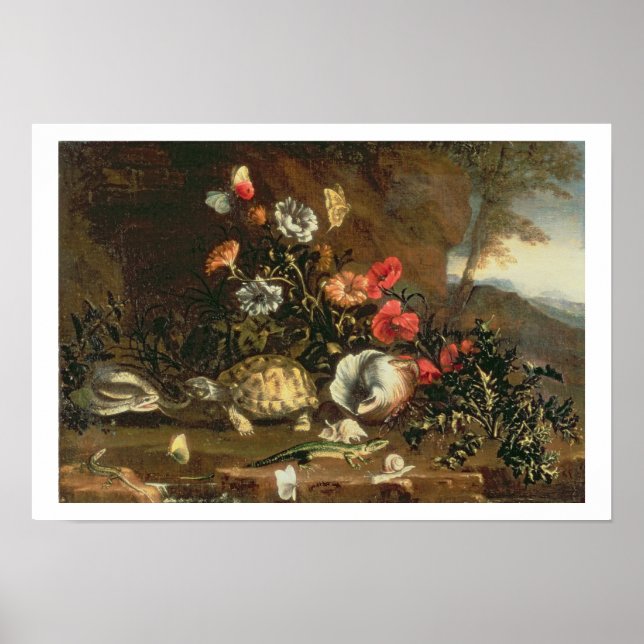 Póster Caroços, flores, répteis e borboletas ao lado (Frente)