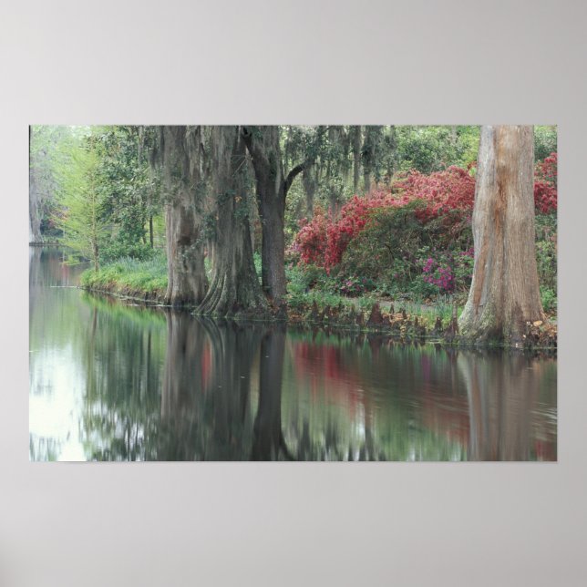 Póster Carolina do Sul, Charleston (Frente)