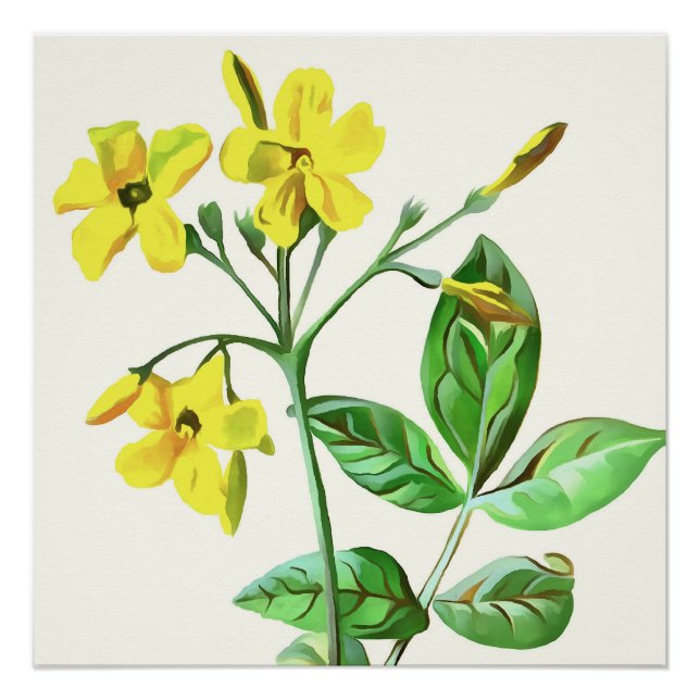 Póster Carolina Jasmine Botanical Art (Frente)