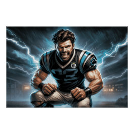 Póster Carolina Panthers 4