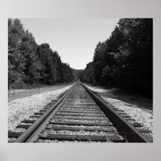 Poster Carolina Tracks