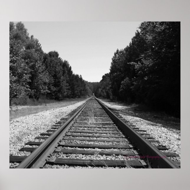 Poster Carolina Tracks (Frente)