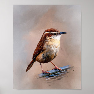 Poster Carolina Wren